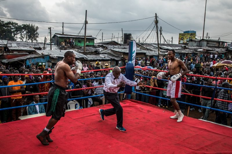 Fight Day